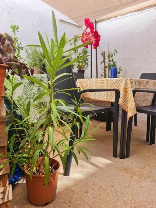 Estancia De Ensueno Y Relax Parking Gratuito 格拉纳达 外观 照片