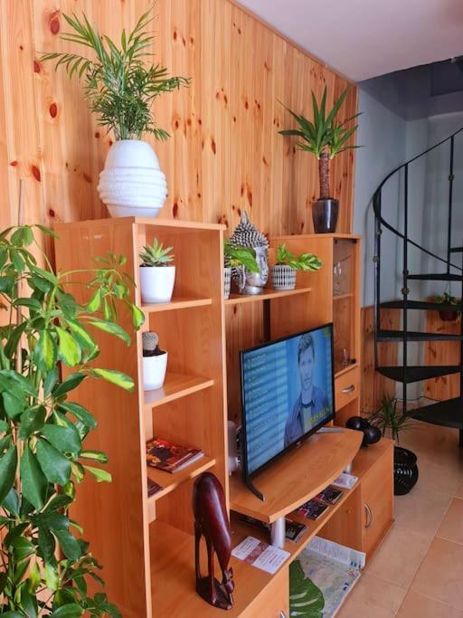 Estancia De Ensueno Y Relax Parking Gratuito 格拉纳达 外观 照片